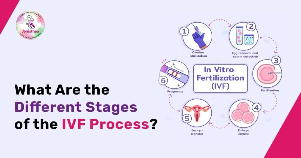 Different Stages of the IVF Process