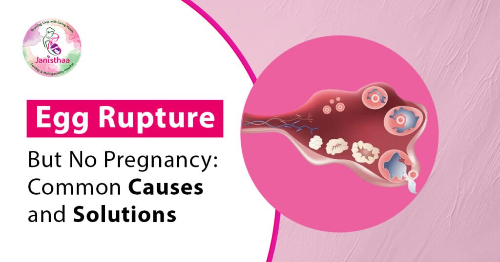 Egg Rupture But No Pregnancy Why? Common Causes and Solutions