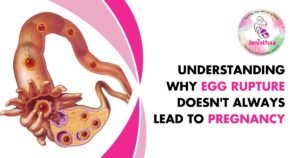 Egg Rupture